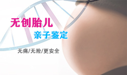 海南如何做怀孕亲子鉴定